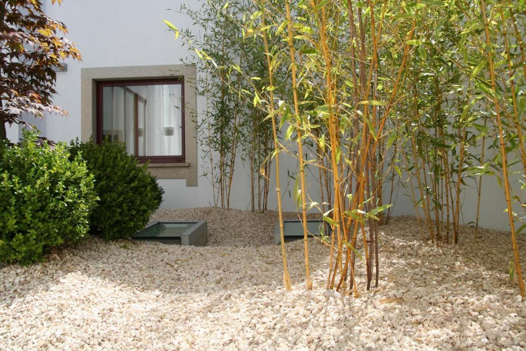 سانتو تيرسو Santo Thyrso Hotel المظهر الخارجي الصورة